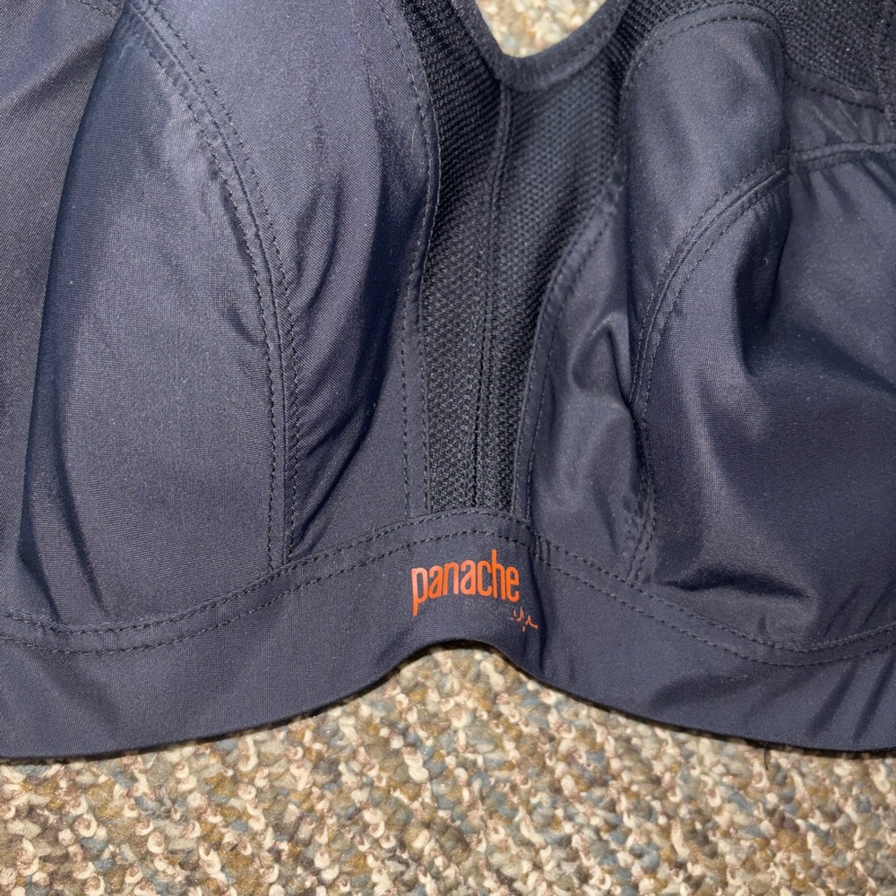 Panache Black Sports Bra - Picture 2 of 6
